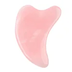 Dolphin Shape