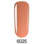 C6025
