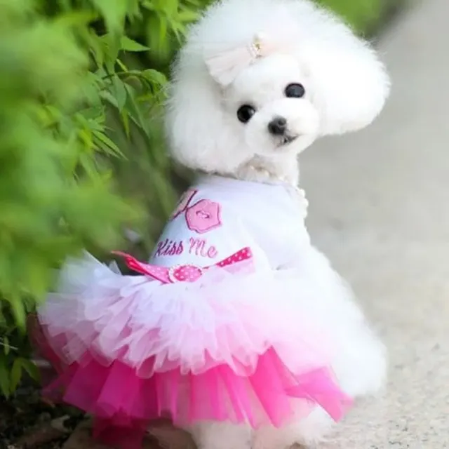 Small dog clothes spring thin pet summer princess dress B2 Pink - Shop at LoveMi