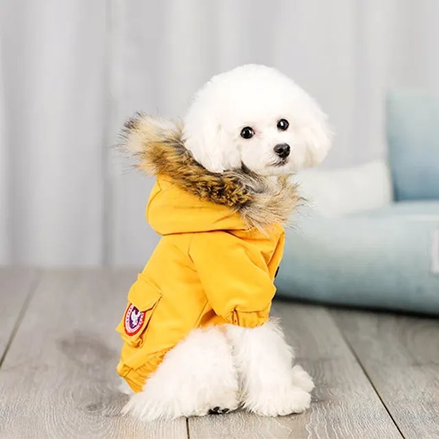 Pet dog clothes wool hat clothes cotton clothes Yellow - Shop at LoveMi