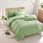 11Color