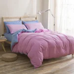 13Color