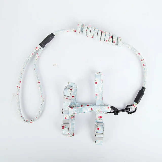 Walking the cat rope pet chest strap Sky Blue Cherry - Shop at LoveMi