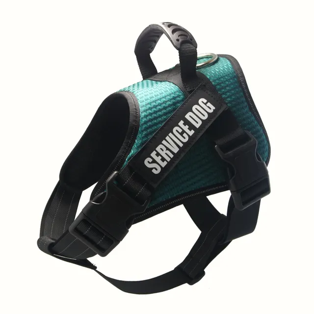 Custom Pet harness Green - Shop at LoveMi