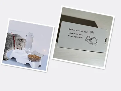 Pet feeder cat bowl Water Storage Carton - Shop at LoveMi