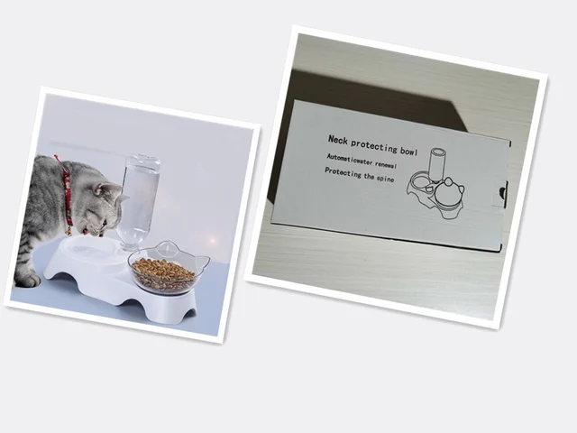 Pet feeder cat bowl Water Storage Carton - Shop at LoveMi