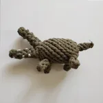 Crocodile