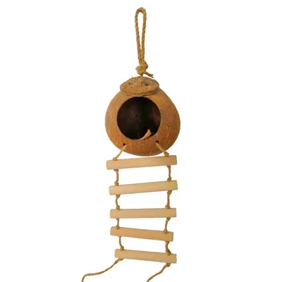 Natural coconut shell bird nest Coconut Nest With Ladder - Shop at LoveMi