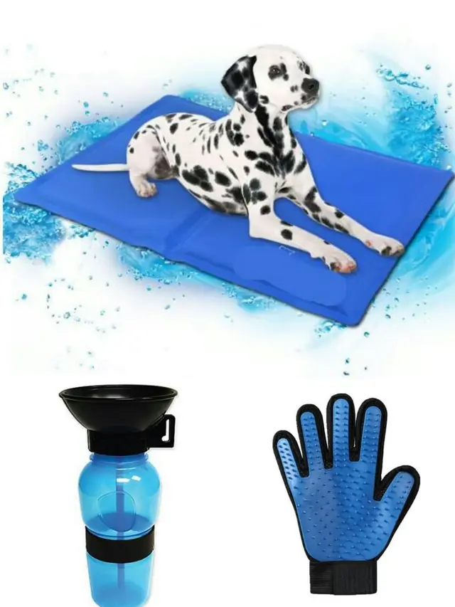 Portable Water Bottle Drinker For Pet Dogs With Mat - Shop at LoveMi
