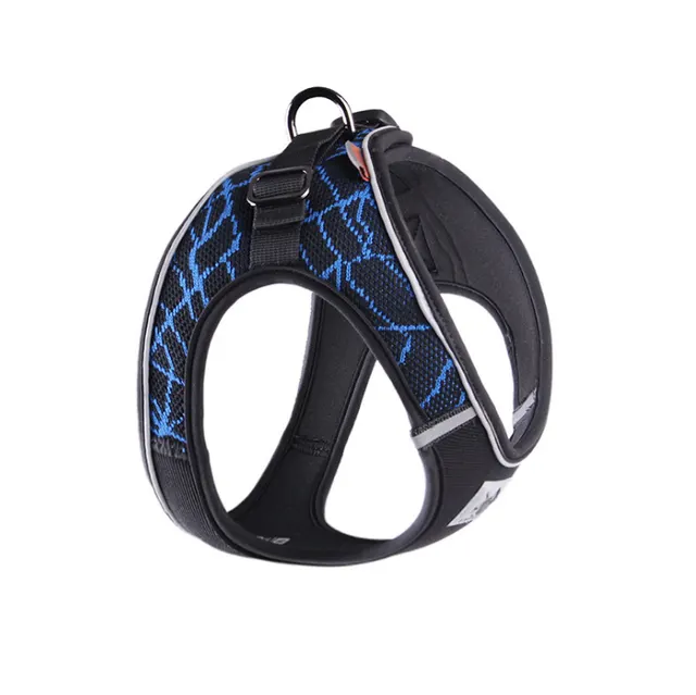 Small and medium sized dog traction rope Blue - Shop at LoveMi