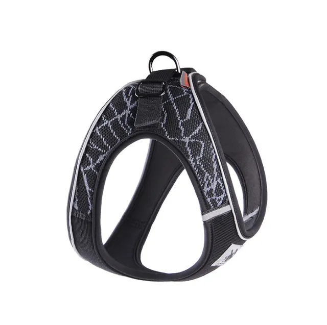 Small and medium sized dog traction rope Grey - Shop at LoveMi