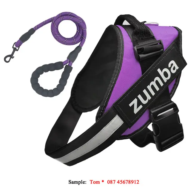 Personalized Reflective Breathable Adjustable Dog Harness and Leash Set Purple Set - Shop at LoveMi