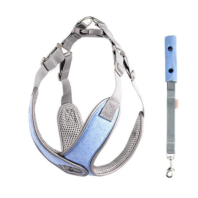 New pet sling traction rope Lake Blue - Shop at LoveMi