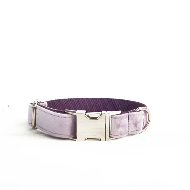 Collar and leash for pet dogs Light Purple Collar - Shop at LoveMi
