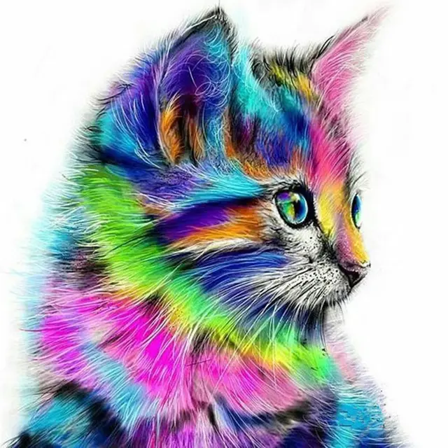 Digital Oil Painting 4050FB Frameless Cat Color - Shop at LoveMi