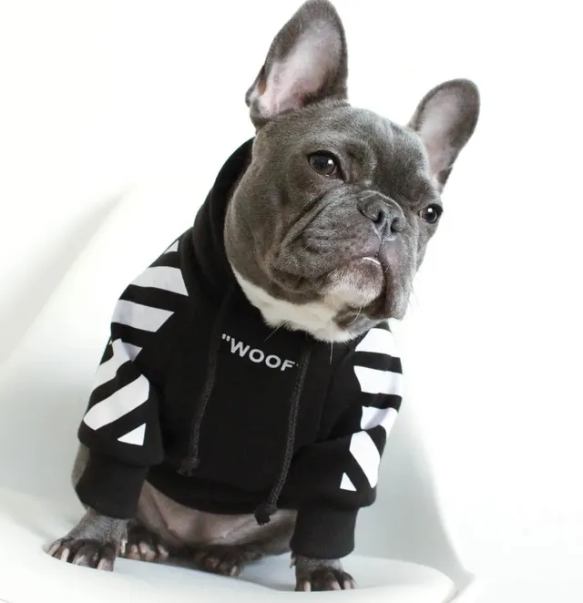 Pet tide brand dog plus velvet thick sweater Black - Shop at LoveMi