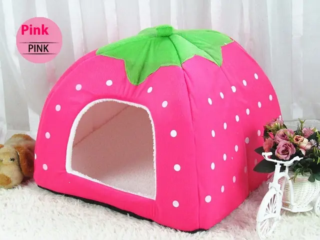 Pet House Pink - Shop at LoveMi
