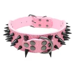 Black Bright Pink
