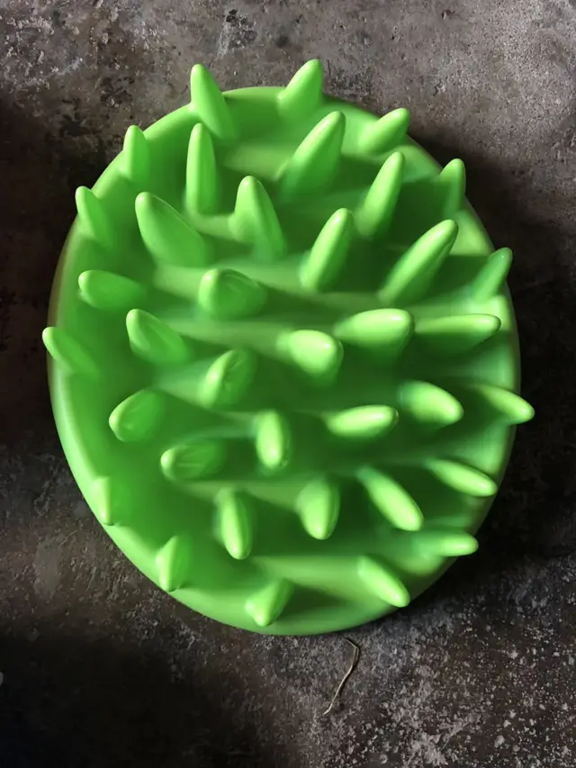 Silicone Slow Food Bowl Green - Shop at LoveMi