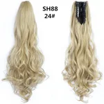 Sh88 24