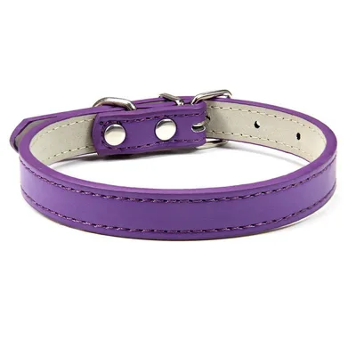 Pet PU leather collar Purple - Shop at LoveMi