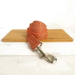 Dog Leash
