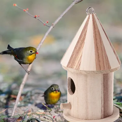 Wooden outdoor bird nest Wood Color - Shop at LoveMi
