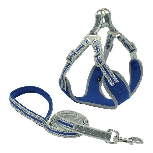 Reflective and breathable mesh dog harness Blue - Shop at LoveMi
