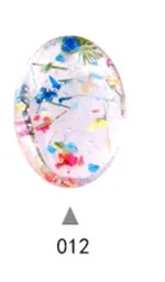 12 Rainbow
