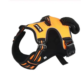 Reflective dog strap - Orange - View 1