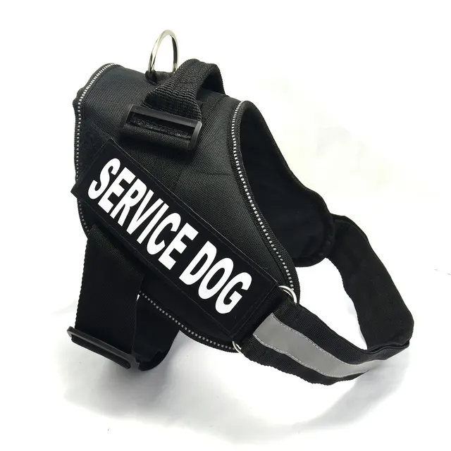Chest strap Black - Shop at LoveMi