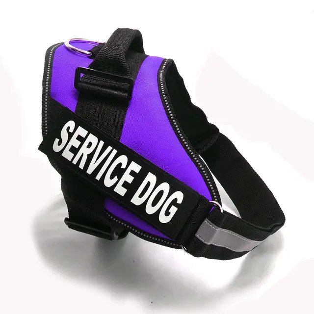 Chest strap Purple - Shop at LoveMi