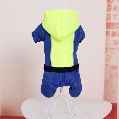 Pet down clothes Green - Shop at LoveMi