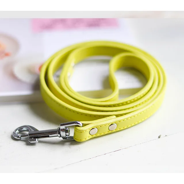 Pet leash collar Light Yellow - Shop at LoveMi