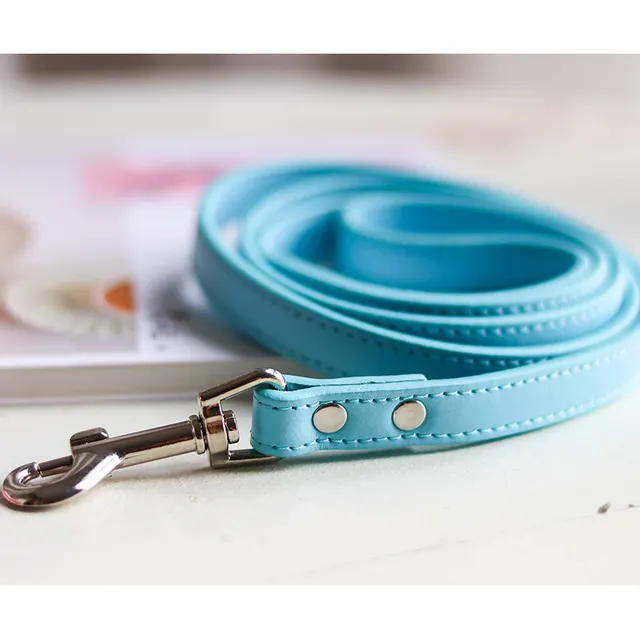 Pet leash collar Sky Blue - Shop at LoveMi