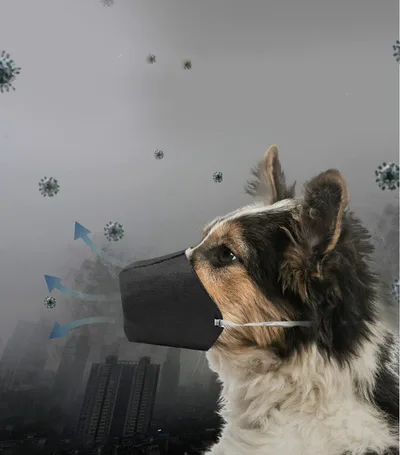 Go out pet mouth cover L - Shop at LoveMi