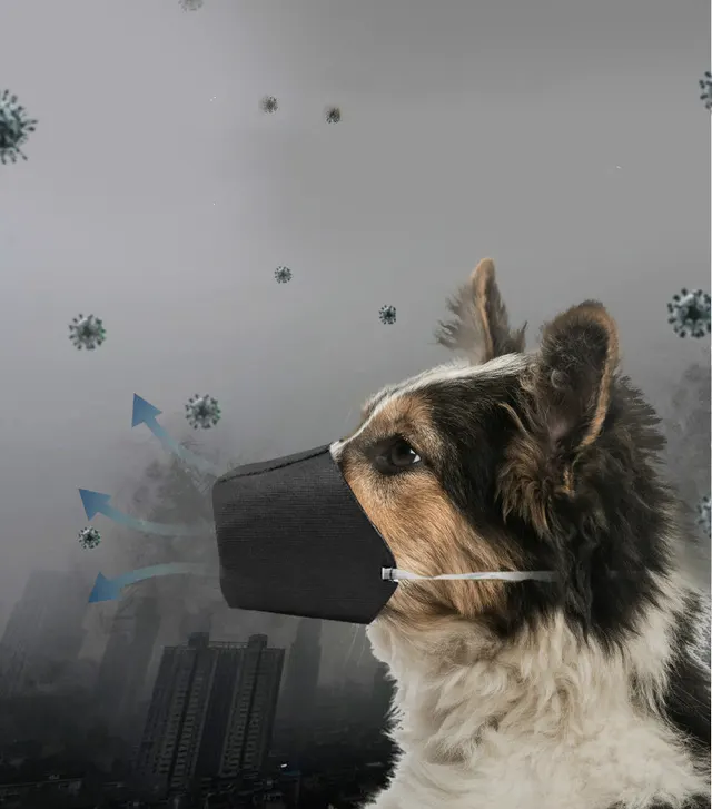 Go out pet mouth cover S - Shop at LoveMi