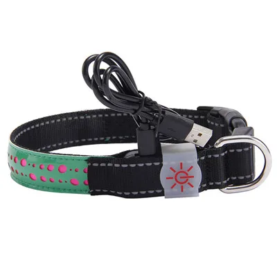 LED light collar pet collar Green - Shop at LoveMi