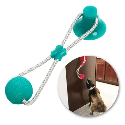 Pet dog rubber sucker molar toy Green - Shop at LoveMi