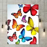20X25Cm