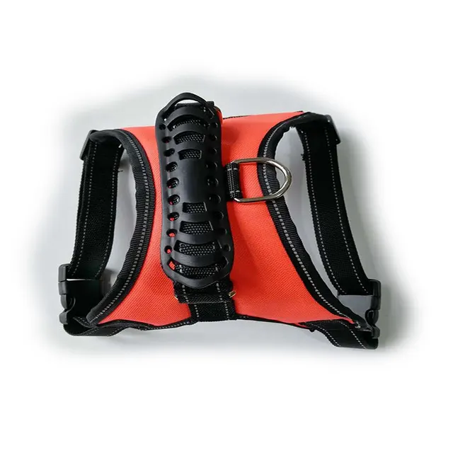 Dog leashes for pet leashes Orange - Shop at LoveMi