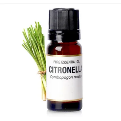 Lemongrass Essential Oil 10Ml - Shop at LoveMi