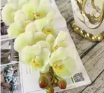 Green White