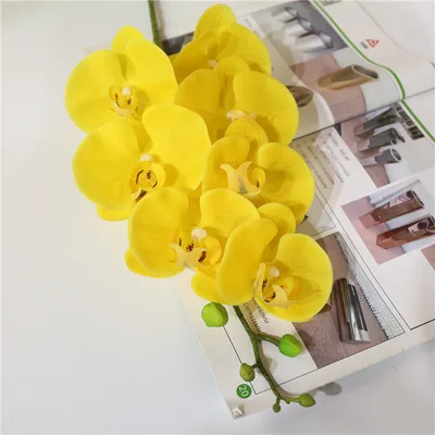 7 phalaenopsis artificial flowers Yellow - Shop at LoveMi