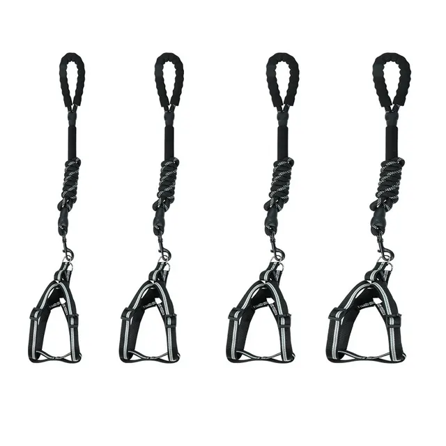 Reflective extended dog leash Black - Shop at LoveMi
