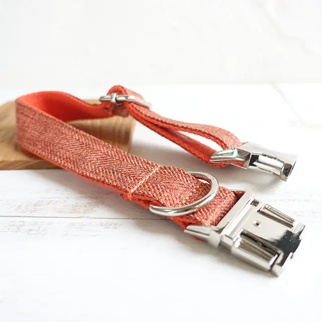 Large dog collar pet teddy Orange - Shop at LoveMi