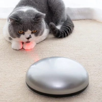 Funny cat sweeping robot Radar Battery Version - Shop at LoveMi