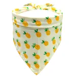 Small Pineapple