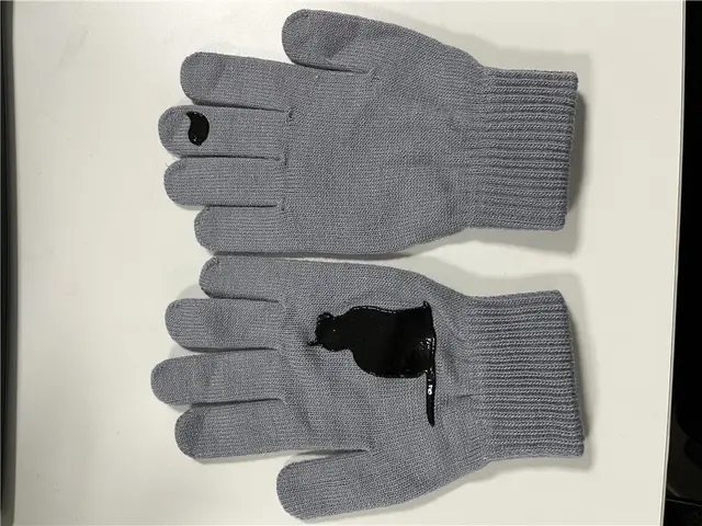 Cat and Bird Print Knitted Gloves Gray - Shop at LoveMi