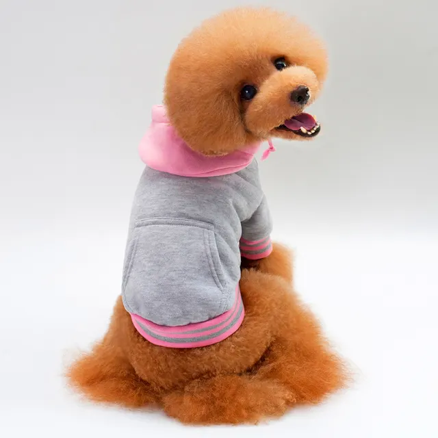 Pet sweater color matching Hoodie Grey - Shop at LoveMi